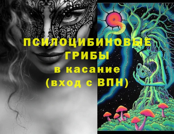 apvp Алексин