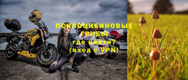ПСИЛОЦИБИНОВЫЕ ГРИБЫ Абинск