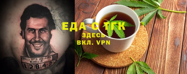 хмурый Магас