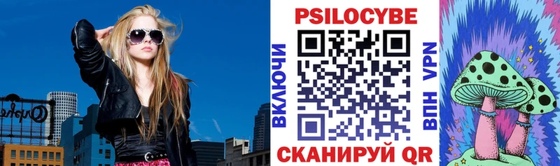 Галлюциногенные грибы MAGIC MUSHROOMS  где продают наркотики  Апшеронск 